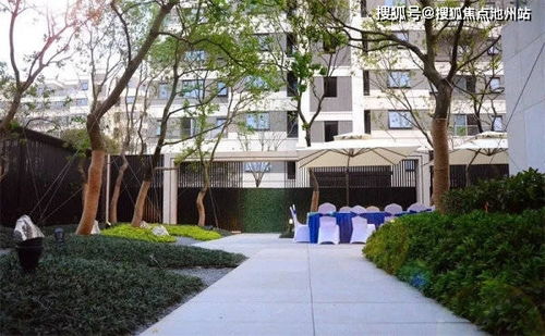 惠州港在世界港口中的位置与重要性解析