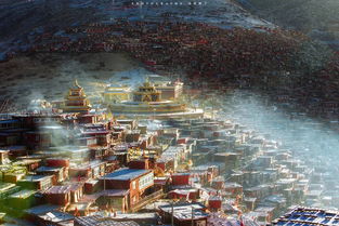 宁波无人旅游攻略揭秘，探索隐秘之美的极致体验
