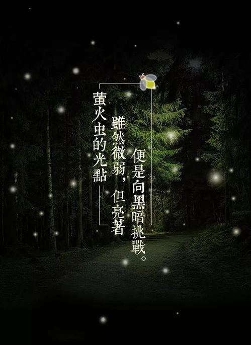最美励志听闻语录，唤醒潜能，激发无限可能的声音
