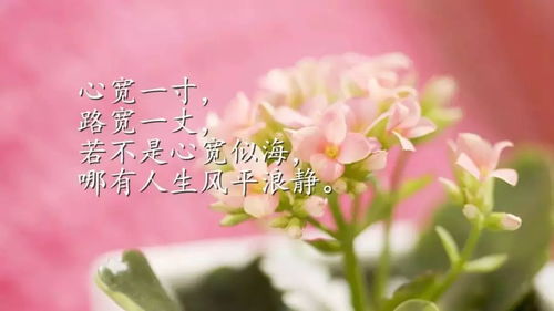 励志语录，拥抱未来，无限可能等你实现