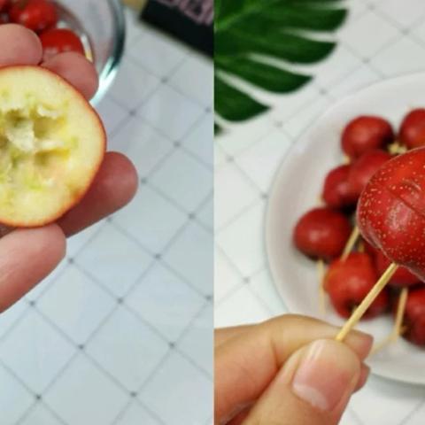 今日葫芦籽价格行情分析，最新走势与影响因素探讨