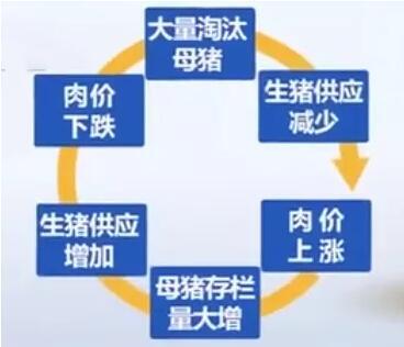 墙面修整公司TOP10榜单揭晓，专业打造完美居家环境，值得信赖的选择！