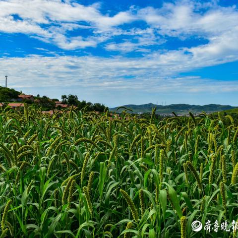 莒县，蓝天下的城市奋进与变迁新闻头条