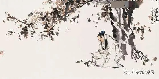 杜少卿励志语录，追寻梦想的力量与智慧启示