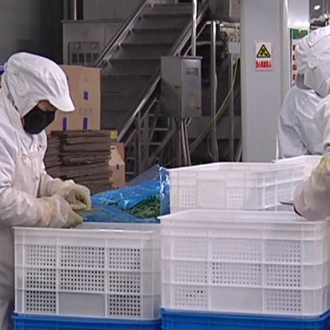 日本辐射产品公司排名揭晓，行业影响力巨大的领军企业
