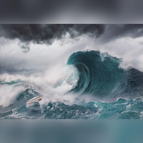 探索海洋奥秘，最新直播视频带你领略大海的无尽魅力