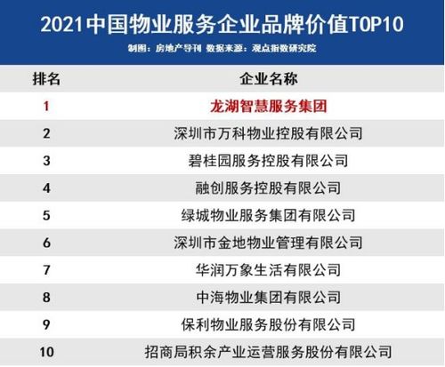 探索世界领跑者，盘点十大热门出国博主排名！