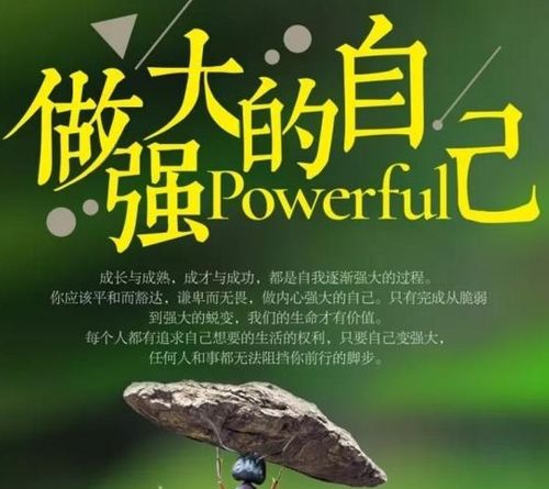 2025年5月13日 第7页