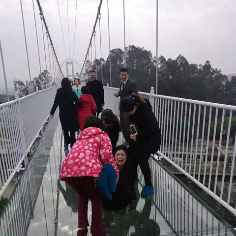 广东玻璃行业巨头揭秘，最大公司排名及行业概览