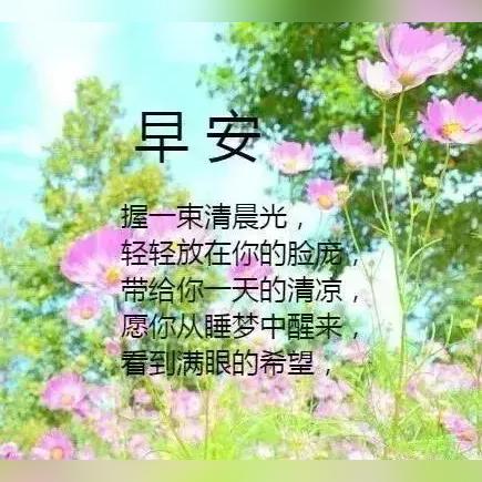 美句头条新闻，诗意生活与远方新闻的探索魅力