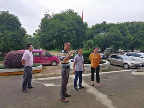 西岭镇今日现状揭秘，最新消息一览