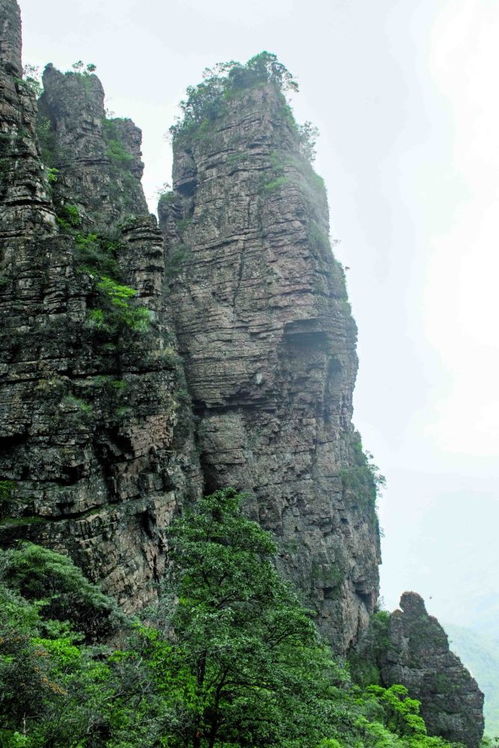 广西旅游攻略揭秘，金秀秘境探索之旅！