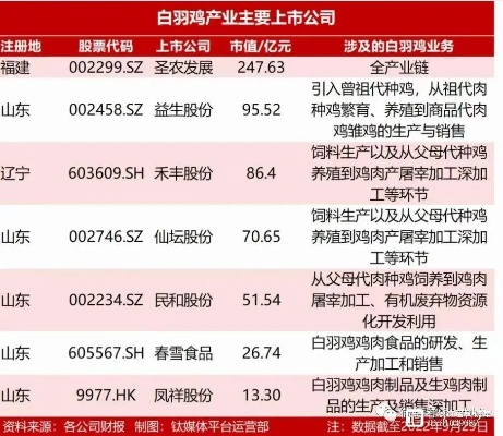 山东鸡肉公司排名大揭秘，探寻行业领军者的成功之路