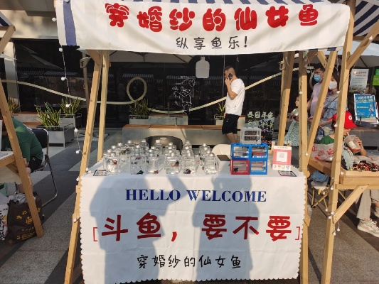 斗鱼摆摊秘籍，最新攻略助你轻松玩转创业之路！