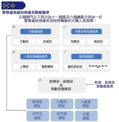 香港缉毒机构TOP10揭秘，力量与智慧的较量
