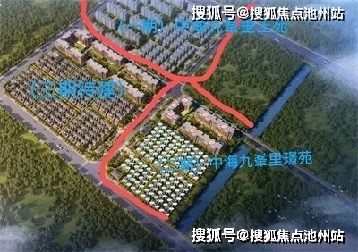 动物尿酸水平排名TOP10背后的真相与原因揭秘