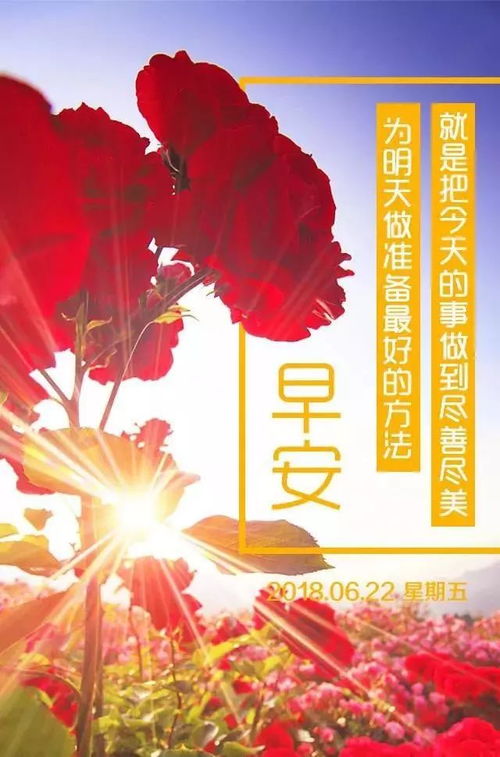 时尚励志视频金句，点燃梦想激情！