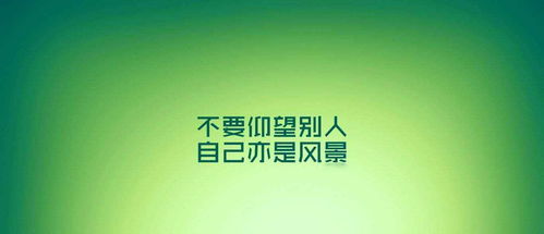 励志语录的正确书写方式，打造吸睛标题！