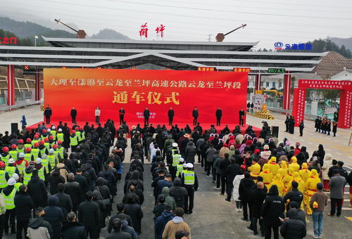 兰坪县迎新镇繁荣新篇章，发展共绘，新闻头条瞩目