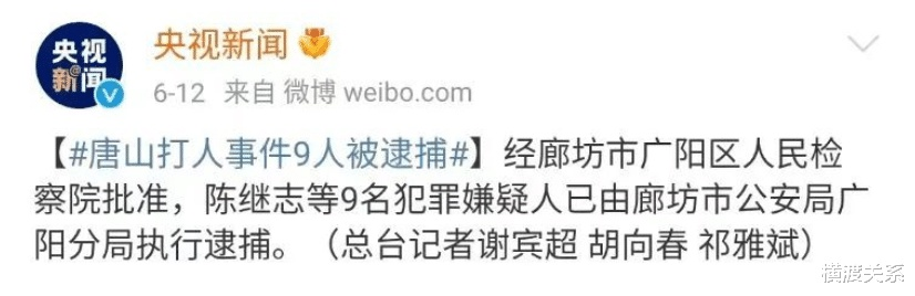 鞍山砍伤事件最新进展揭秘，深度解析事件进展与公众反响热议视频