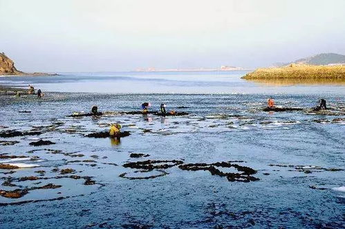 平潭龙王潭赶海秘籍，最新攻略畅游海域！