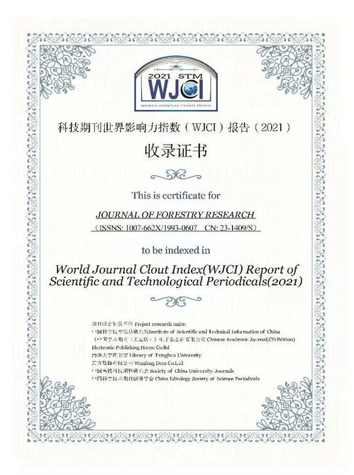 长治最新动态，今日现状速览