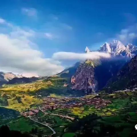 湖州畜牧公司排名大揭秘，行业领军者一览无余！