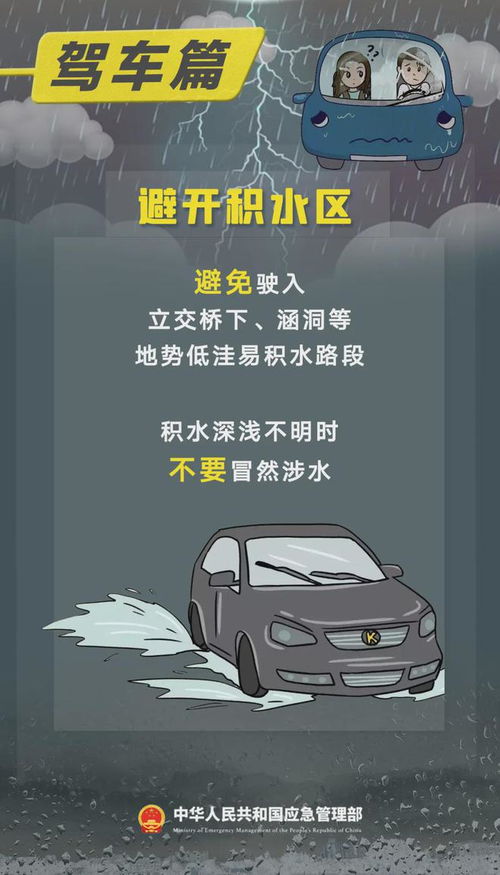 郑州限号最新消息，如何影响你的日常生活与出行？