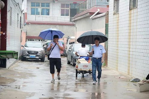 东渚街道打架事件最新进展揭秘，深度探究事件背后，共建和谐社会呼唤人心