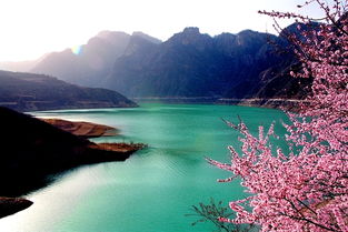 Cin旅游攻略，揭秘未知美景，畅游无限风光