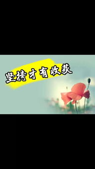励志节日语录，点亮生活的每一刻瞬间启发人心！