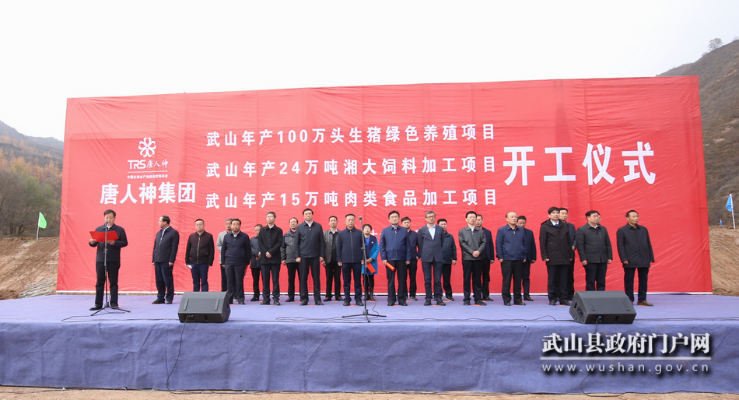 武山最新头条新闻速递