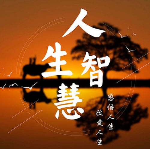 生活经验励志语录，探寻人生的智慧火花，激发无限潜能！