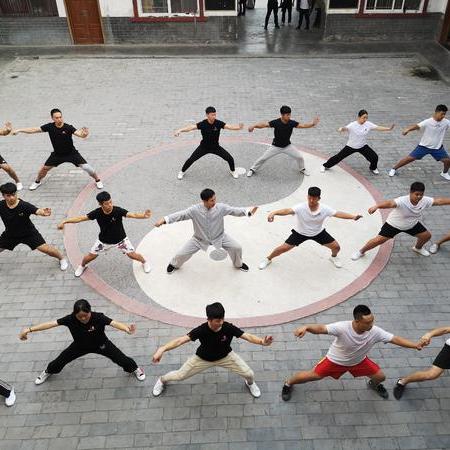 温县幼儿园排名TOP10，优质教育资源分布与选择指南