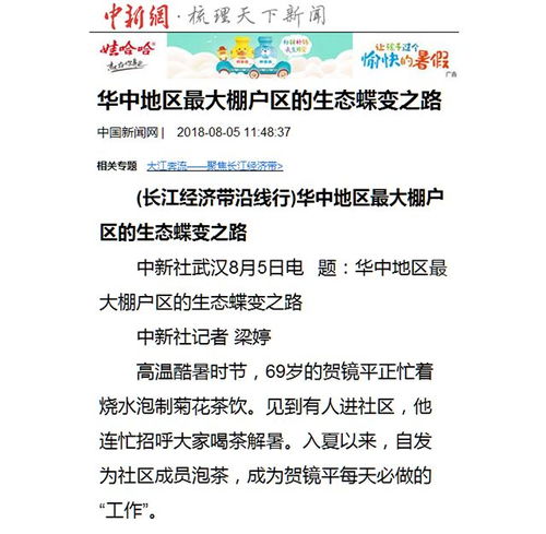 蓝田玉山最新热点新闻揭秘，发展动态与地方热点聚焦