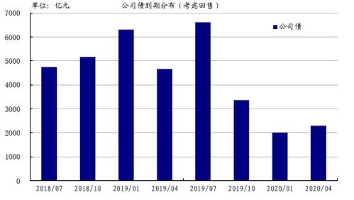 猪肚今日报价大揭秘，市场行情深度分析与购买指南