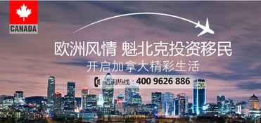 海口最新政策出炉，开启开放繁荣新篇章