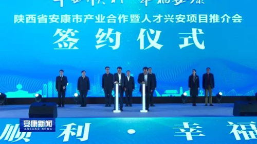 安康商贸公司排名揭秘，洞悉商贸领域的蓬勃发展势头