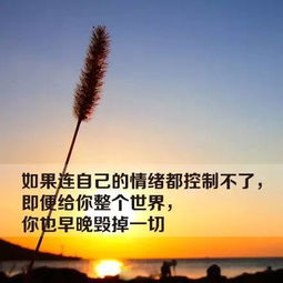 孔孟智慧语录，励志短句汲取前行力量