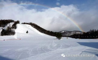 全球滑雪组织TOP10榜单揭晓，雪道之巅的权威力量探究
