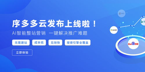 公司排名制度，打造高效企业管理核心策略，助力企业腾飞
