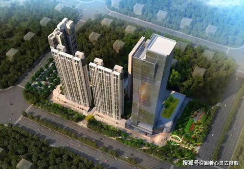 玉林最新发展动态，城市进步与焦点热议