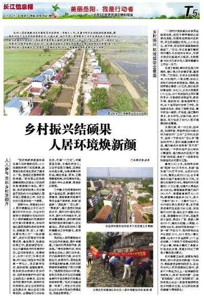 李岗村新闻头条，乡村振兴闪耀新星，新亮点展现新风貌