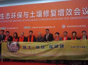 泾阳丰岭最新新闻头条，探寻地方发展活力与脉搏