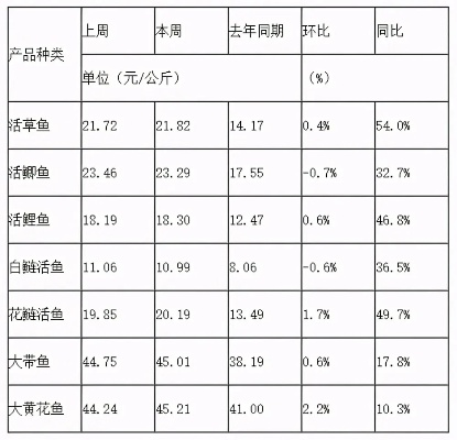 今日养鱼市场，最新价格走势揭秘，多重因素深度解析！