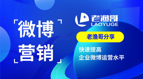 最新抢茅台酒攻略，掌握规则，轻松获取心仪佳酿下载最新版策略
