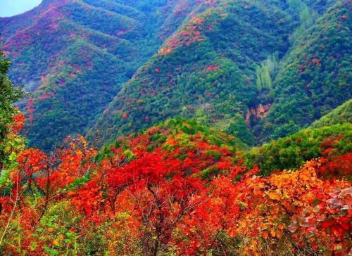 独家揭秘，兰州八盘峡旅游攻略——秘境探幽，自然盛宴尽享！