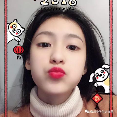 广东梅州今日狗价概览，宠物市场微小变化探寻