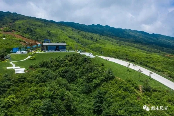 叙永罗汉林新动态揭秘，神秘面纱背后的新篇章探秘