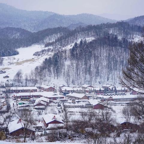 夏天雪谷探险秘籍，畅游绝美风光，体验极致夏日之旅！